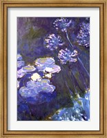 Framed Water Lilies and Agapanthus, 1914-1917