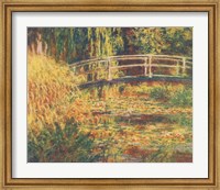 Framed Water Lily Pond - Pink Harmony