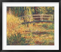 Framed Water Lily Pond - Pink Harmony