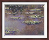 Framed Water Lilies, 1903