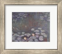 Framed Water Lilies (dark)