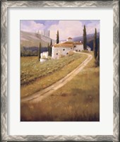 Framed Tuscany Vineyard