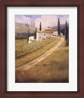 Framed Tuscany Vineyard