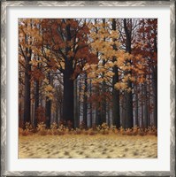 Framed Autumn Wood