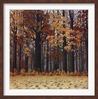 Framed Autumn Wood