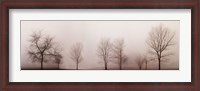 Framed Misty Meadow