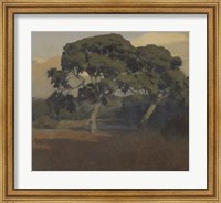 Framed Oaks