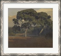 Framed Oaks