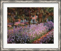 Framed Artist's Garden at Giverny, c.1900