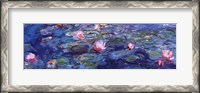 Framed Water Lilies (blue and purple)