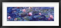 Framed Water Lilies (blue and purple)