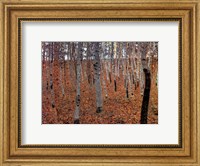 Framed Forest of Beeches, c.1903