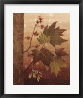Framed Maple Leaves