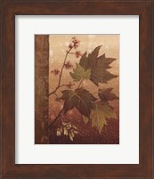 Framed Maple Leaves - mini