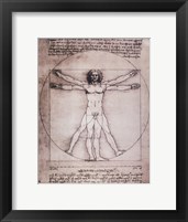 Framed Vitruvian Man, 1492