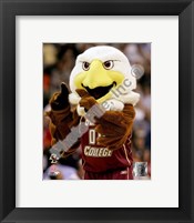 Framed Baldwin, The Boston College Eagles Mascot 2007
