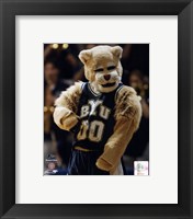 Framed Brigham Young University Mascot, 2001