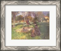 Framed In an Orchard