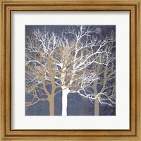 Framed Tranquil Trees