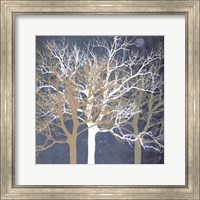 Framed Tranquil Trees