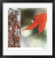 Framed Autumn Leaves I