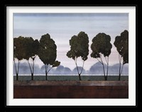 Framed Six Trees