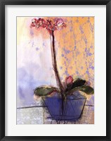 Framed Orchid and Lace II