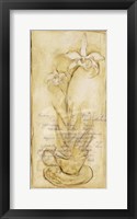 Framed Afternoon Orchids II