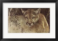 Framed Tropical Cougar