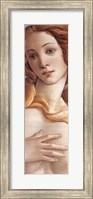 Framed Birth of Venus (detail)