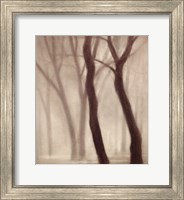 Framed Forest III
