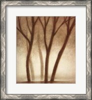 Framed Forest II