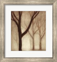 Framed Forest I