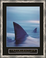 Framed Intimidation - Sharks