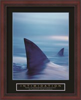Framed Intimidation - Sharks