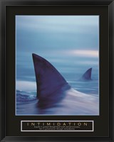 Framed Intimidation - Sharks