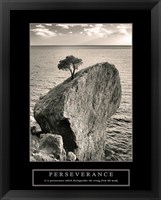 Framed Perseverance - Lone Pinyon Tree