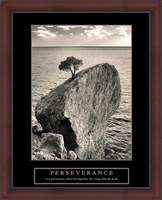 Framed Perseverance - Lone Pinyon Tree