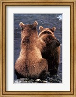 Framed Two Bear Cubs
