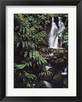 Framed Rainforest Waterfall, Hawaii