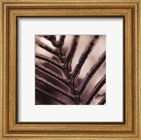 Framed Abstraction