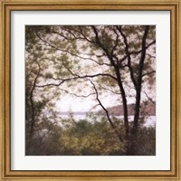 Framed Lakeside Trees I