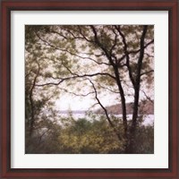 Framed Lakeside Trees I