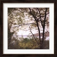 Framed Lakeside Trees I