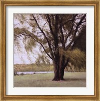 Framed Lakeside Trees II