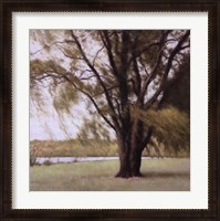 Framed Lakeside Trees II