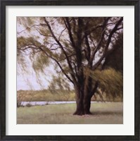 Framed Lakeside Trees II
