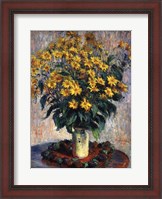 Framed Jerusalem Artichoke Flowers, 1880