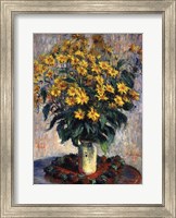 Framed Jerusalem Artichoke Flowers, 1880