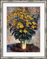 Framed Jerusalem Artichoke Flowers, 1880